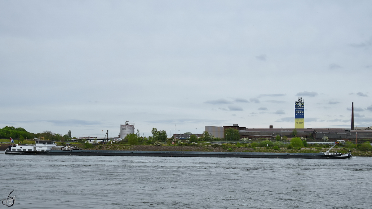 Das Gütermotorschiff AUDENDA (ENI: 02331472) auf dem Rhein, so gesehen Anfang Mai 2021 in Duisburg. 