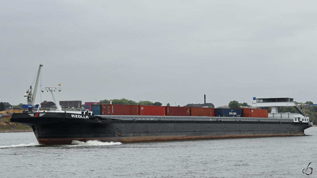 Das Gütermotorschiff AZOLLA (ENI: 02329306) auf Rückwärtsfahrt zum Logport I Terminal, so gesehen im August 2022 in Duisburg.