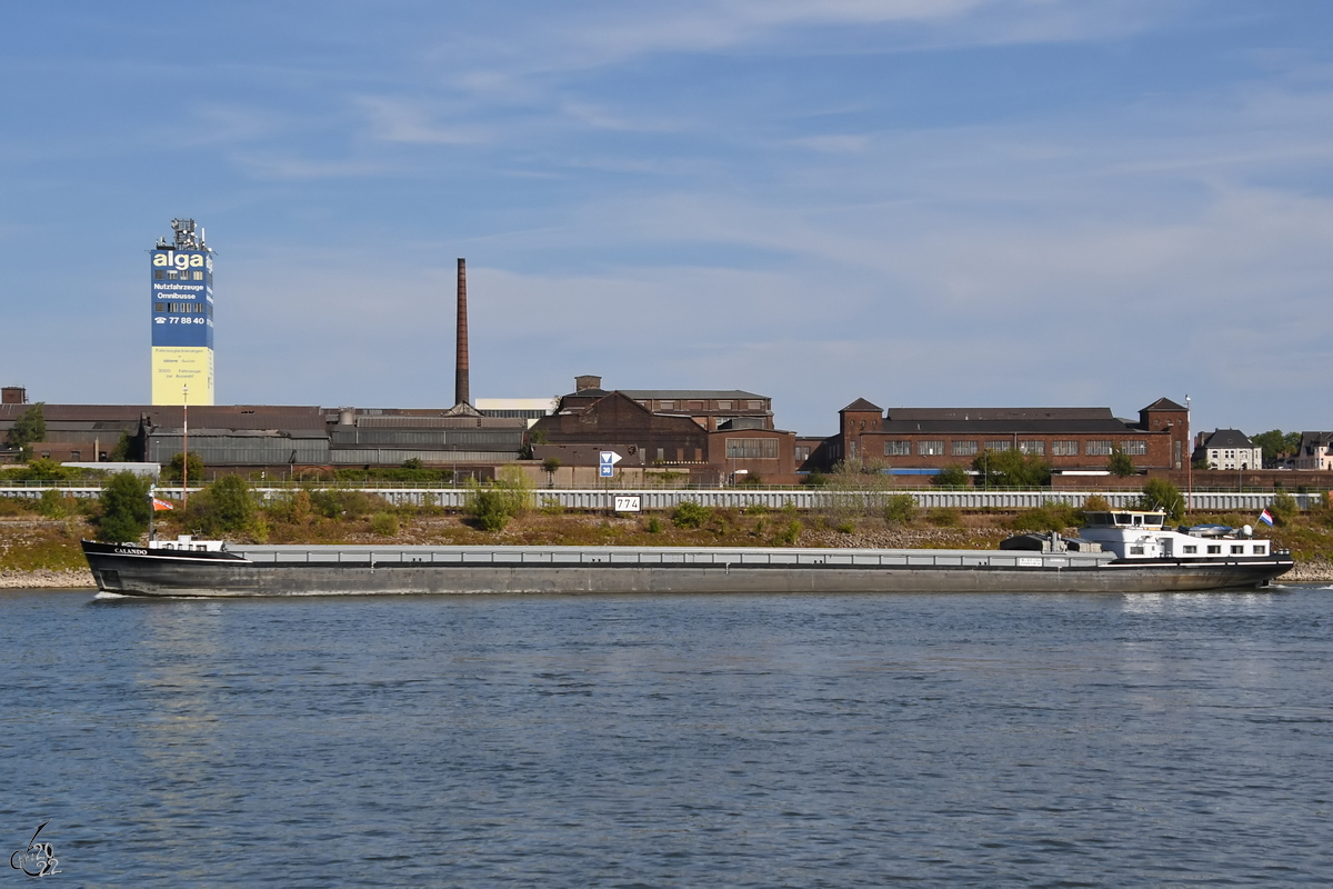 Das Gütermotorschiff CALANDO (ENI: 02318352) befährt den Rhein, so gesehen Ende August 2022 in Duisburg.