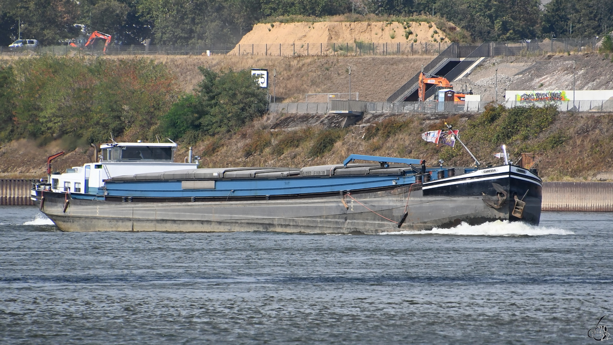 Das Gütermotorschiff CARESSA (ENI: 02101731) erreicht den Rheinpark in Duisburg. (August 2022)