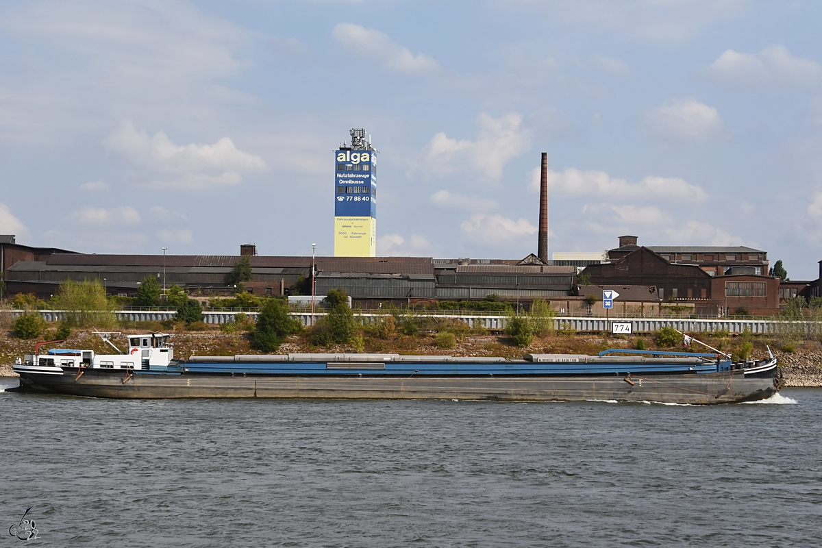 Das Gütermotorschiff CARESSA (ENI: 02101731) befährt den Rhein bei Duisburg. (August 2022)