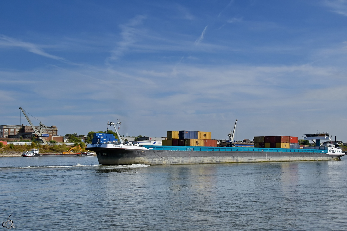 Das Gütermotorschiff CRIGEE (ENI: 02332326) auf Rückwärtsfahrt zum D3T Duisburg Trimodal Terminal. (August 2022)