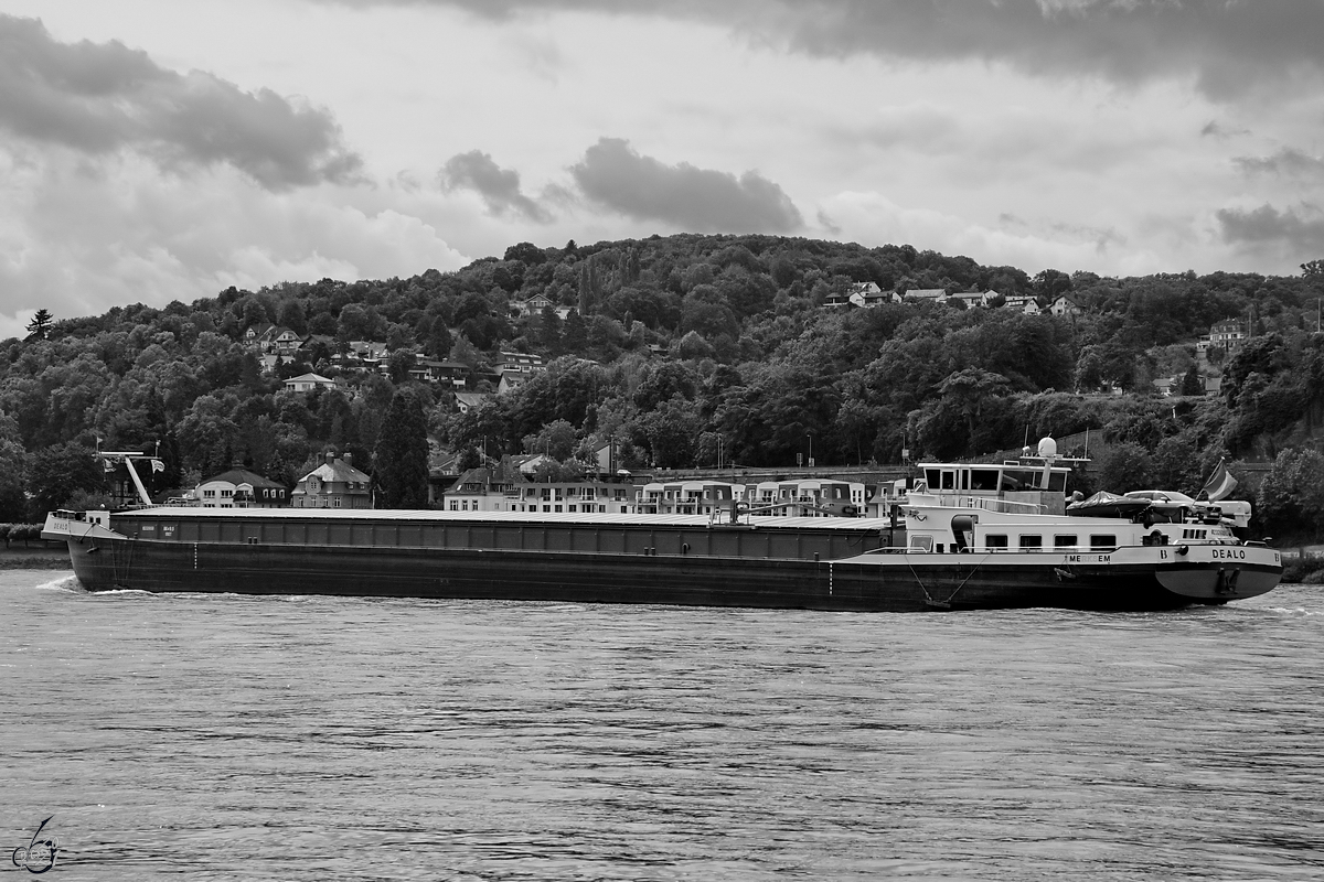 Das Gütermotorschiff DEALO (ENI: 02326158) war Anfang August 2021 auf dem Rhein bei Remagen zu sehen.