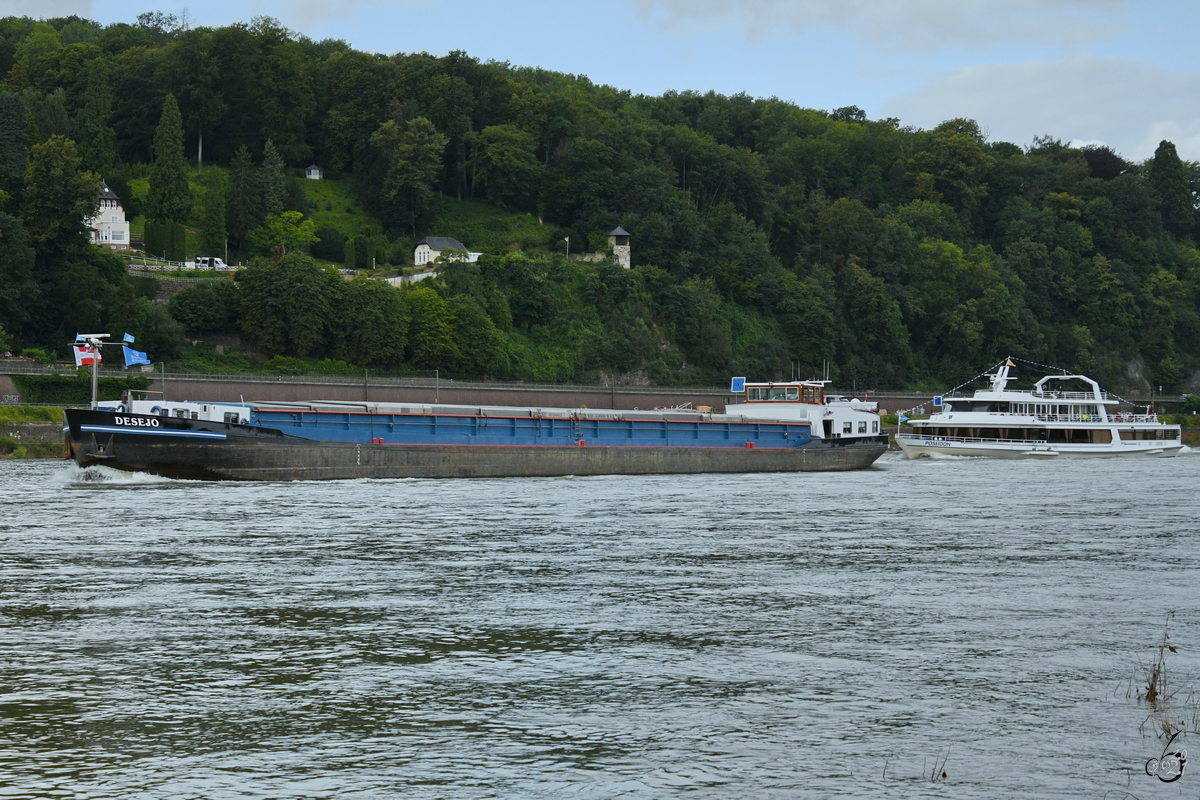 Das Gütermotorschiff DESEJO (ENI: 02316228) war Anfang August 2021 auf dem Rhein bei Remagen unterwegs, gefolgt von dem Fahrgastschiff POSEIDON (ENI: 04033130).