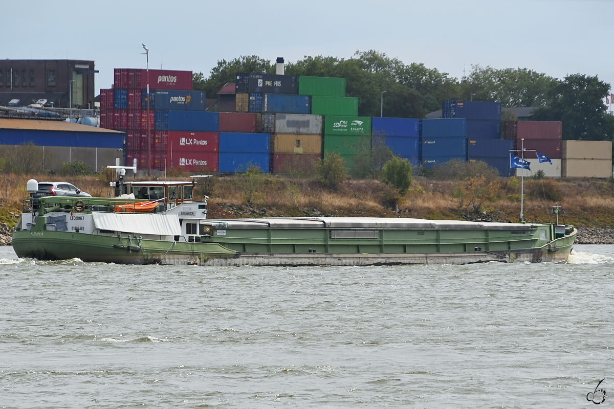 Das Gütermotorschiff DORIA (ENI: 01822682) befährt den Rhein, so gesehen Ende August 2022 in Duisburg.