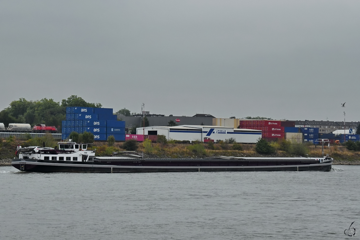 Das Gütermotorschiff FEROX (ENI: 06003739) auf dem Rhein, so gesehen im August 2021 in Duisburg.