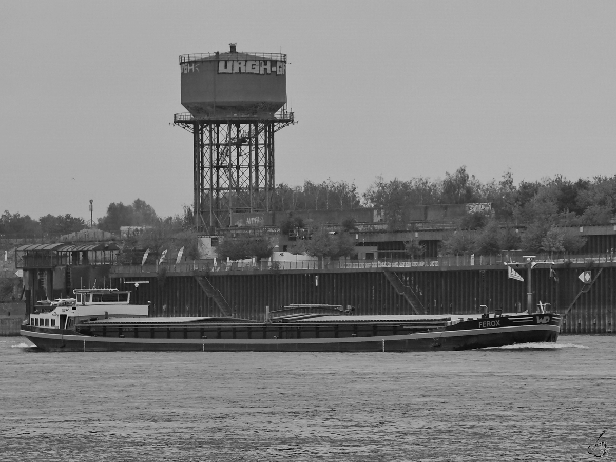 Das Gütermotorschiff FEROX (ENI: 06003739) auf dem Rhein, so gesehen im August 2022 in Duisburg.
