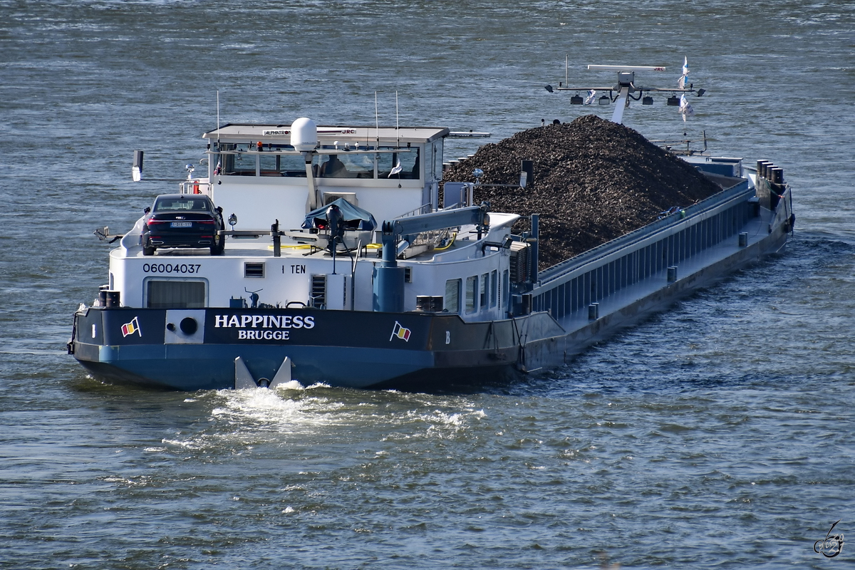 Das Gütermotorschiff HAPPINESS (ENI: 06004037) war Mitte April 2021 auf dem Rhein unterwegs.

