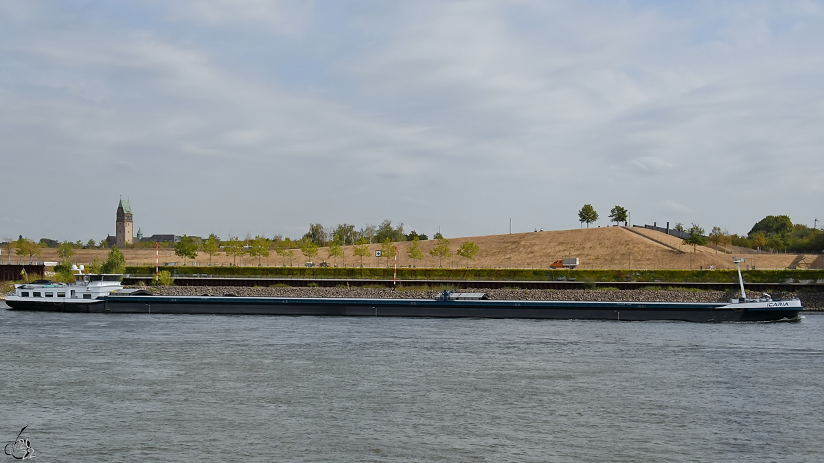 Das Gütermotorschiff ICARIA (ENI: 02328050) fährt den Rhein hinauf. (Duisburg, August 2022)