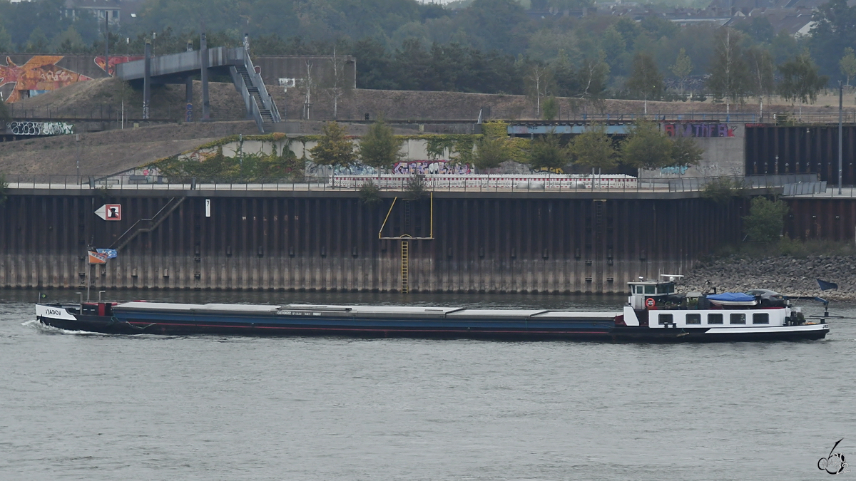 Das Gütermotorschiff JADO (ENI: 02313522) fährt den Rhein hinab. (Duisburg, August 2022)