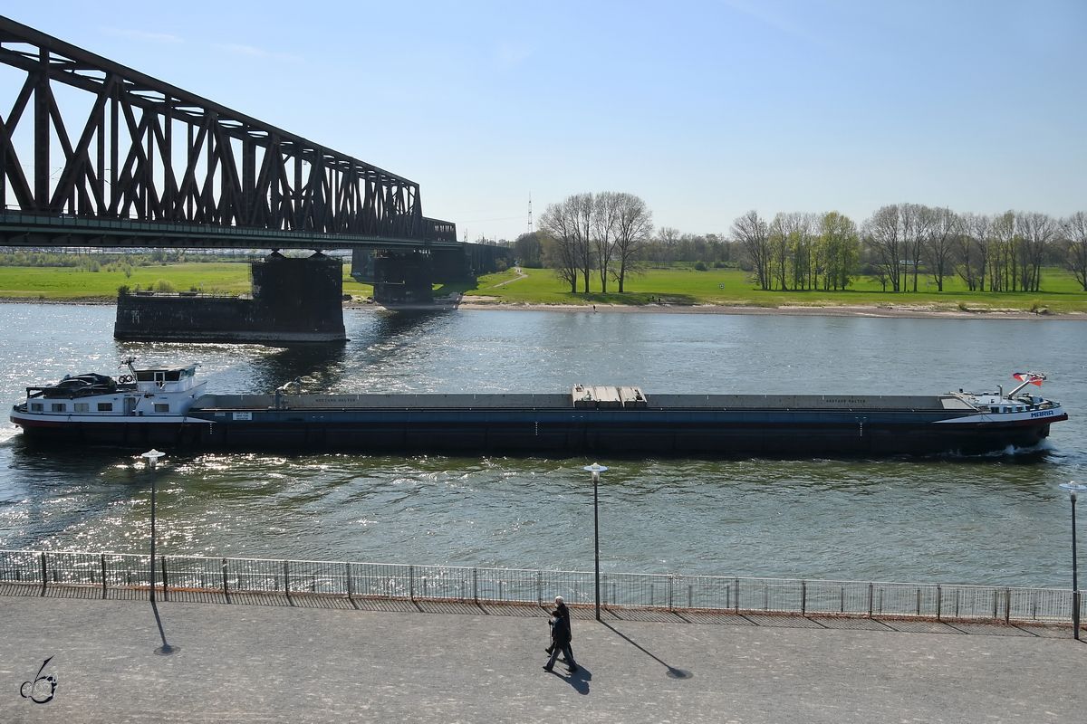 Das Gütermotorschiff MARIA (ENI: 02319708) Mitte April 2021 in Duisburg.