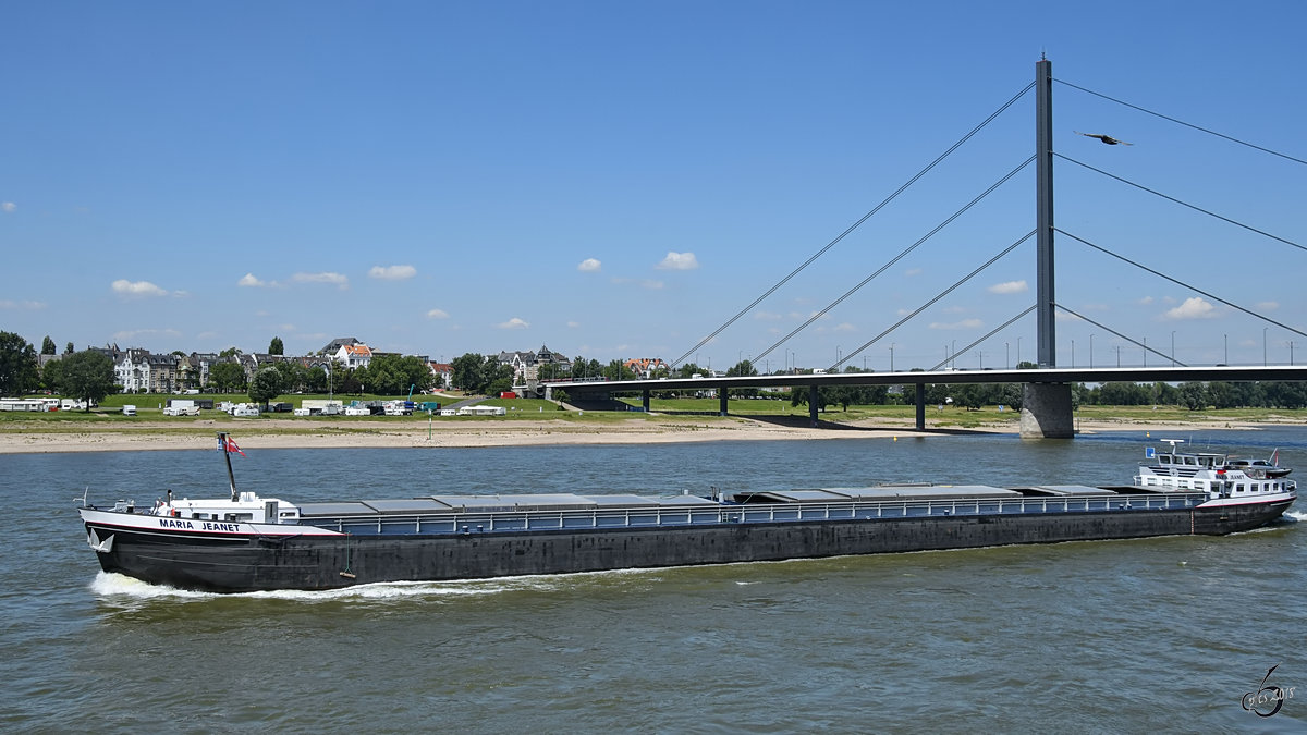 Das Gütermotorschiff  Maria Jeanet  (02304197) auf dem Rhein. (Düsseldorf, Juni 2018)