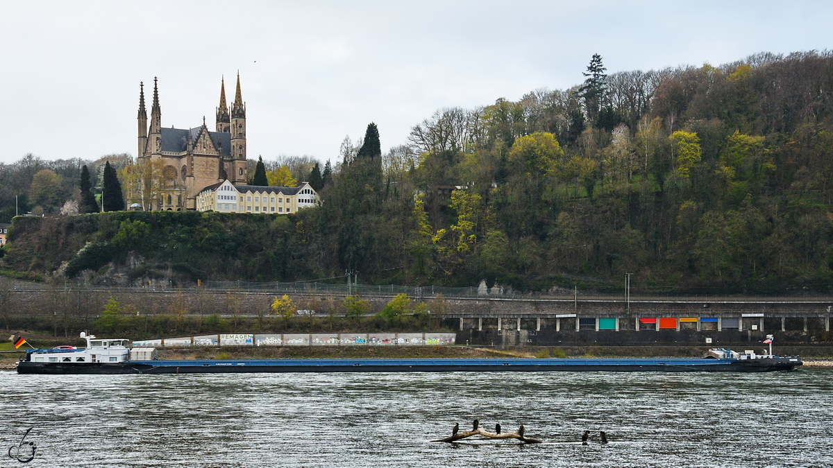 Das Gütermotorschiff MARIE (ENI: 02324012) war Anfang April 2021 auf dem Rhein bei Unkel zu sehen.