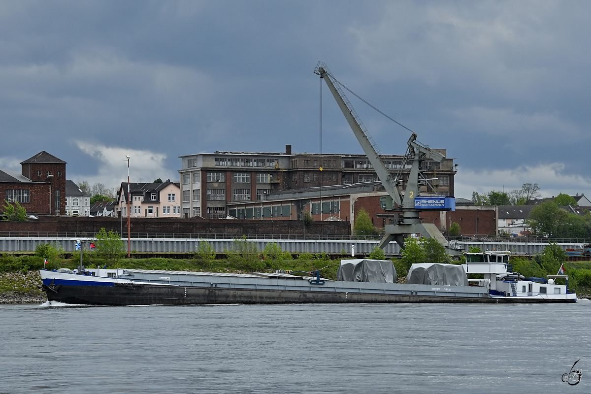 Das Gütermotorschiff MI VIDA (ENI: 02317877) auf den Rhein unterwegs, so gesehen Anfang Mai 2021 in Duisburg.