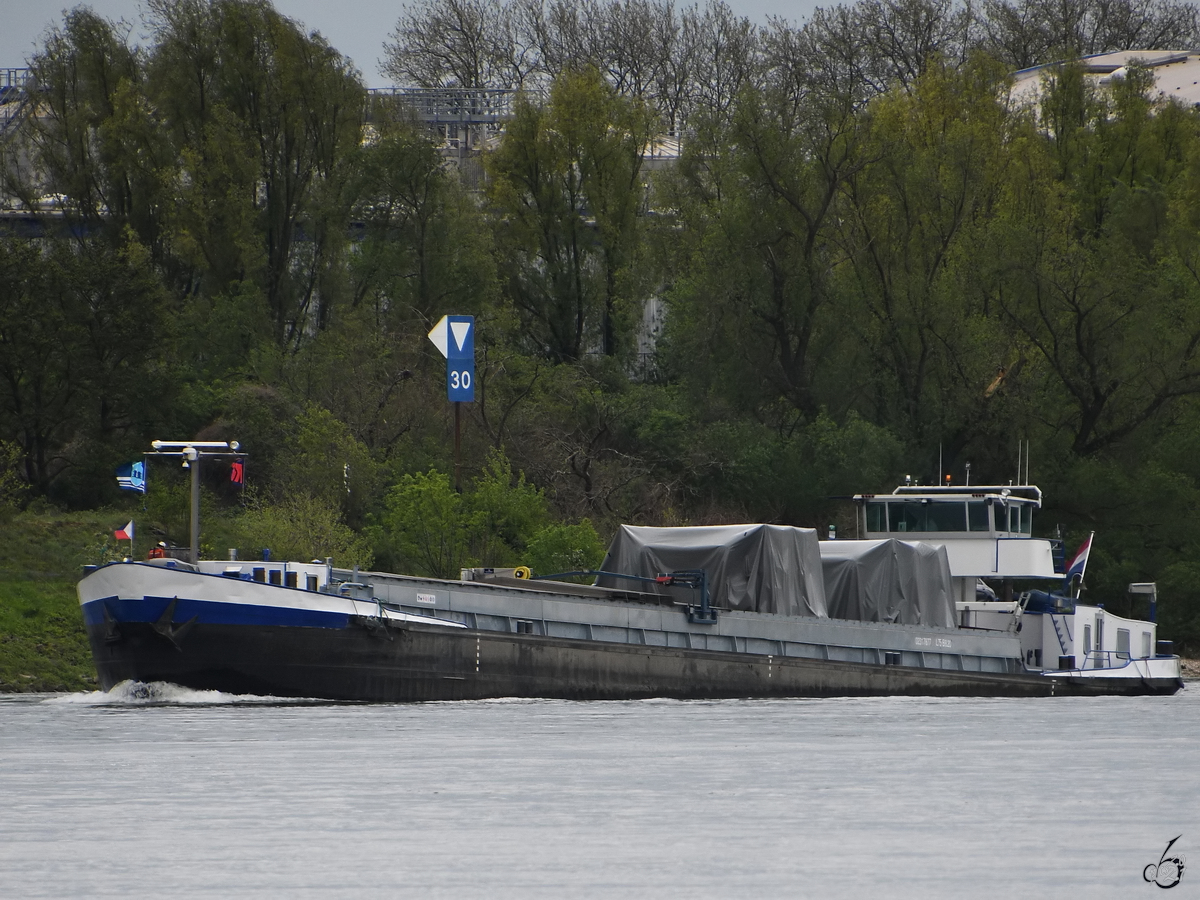 Das Gütermotorschiff MI VIDA (ENI: 02317877) auf den Rhein unterwegs, so gesehen Anfang Mai 2021 in Duisburg.