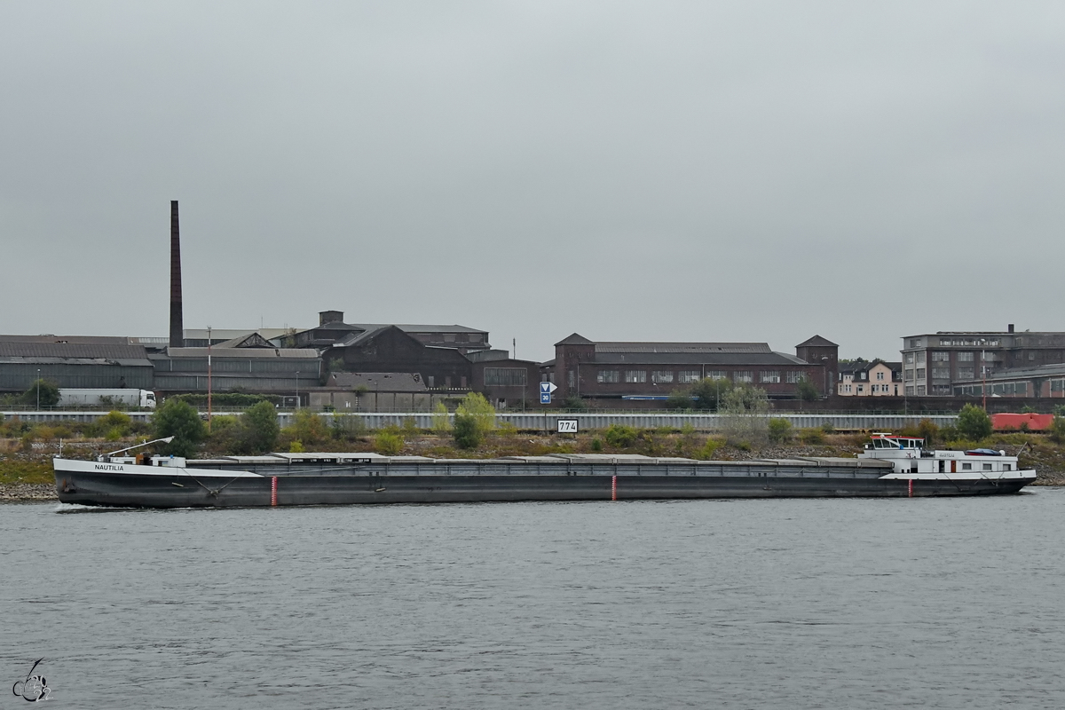 Das Gütermotorschiff NAUTILIA (ENI: 05501380) fährt den Rhein hinab. (Duisburg, August 2022)