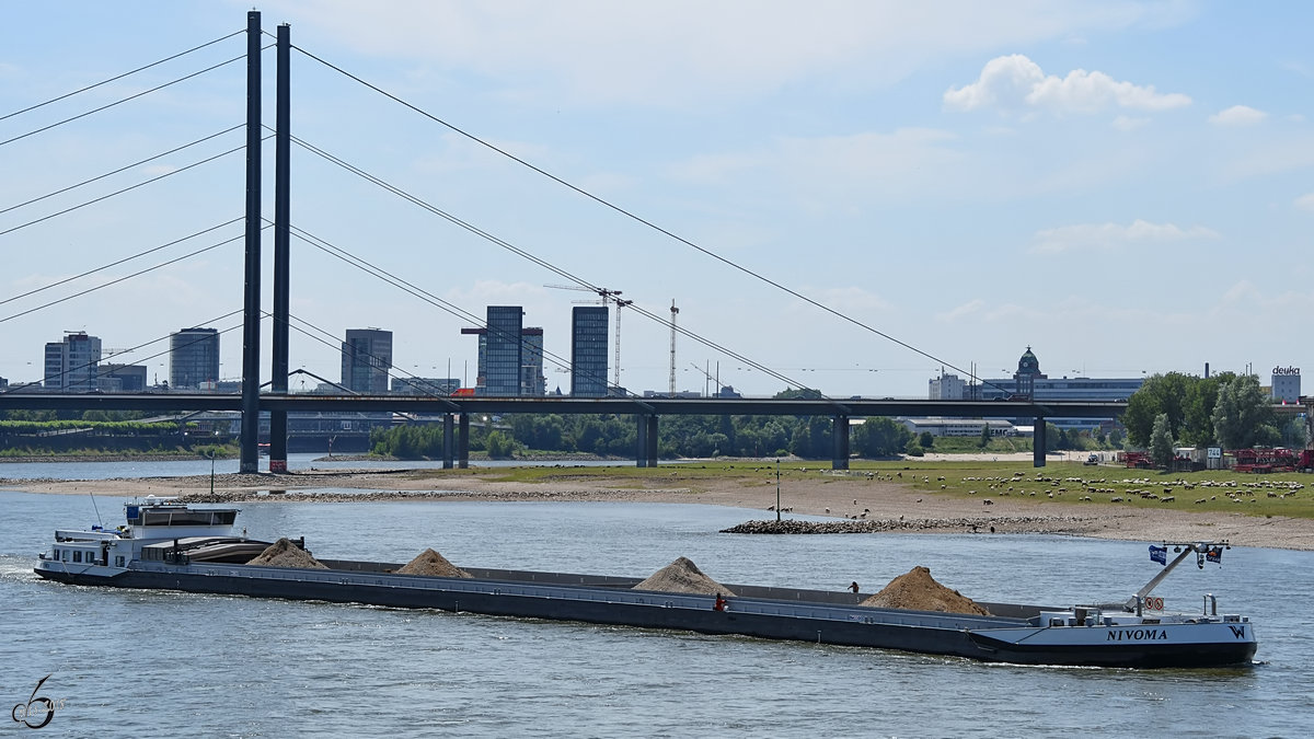 Das Gütermotorschiff  Nivoma  (02330576) auf dem Rhein. (Düsseldorf, Juni 2018)