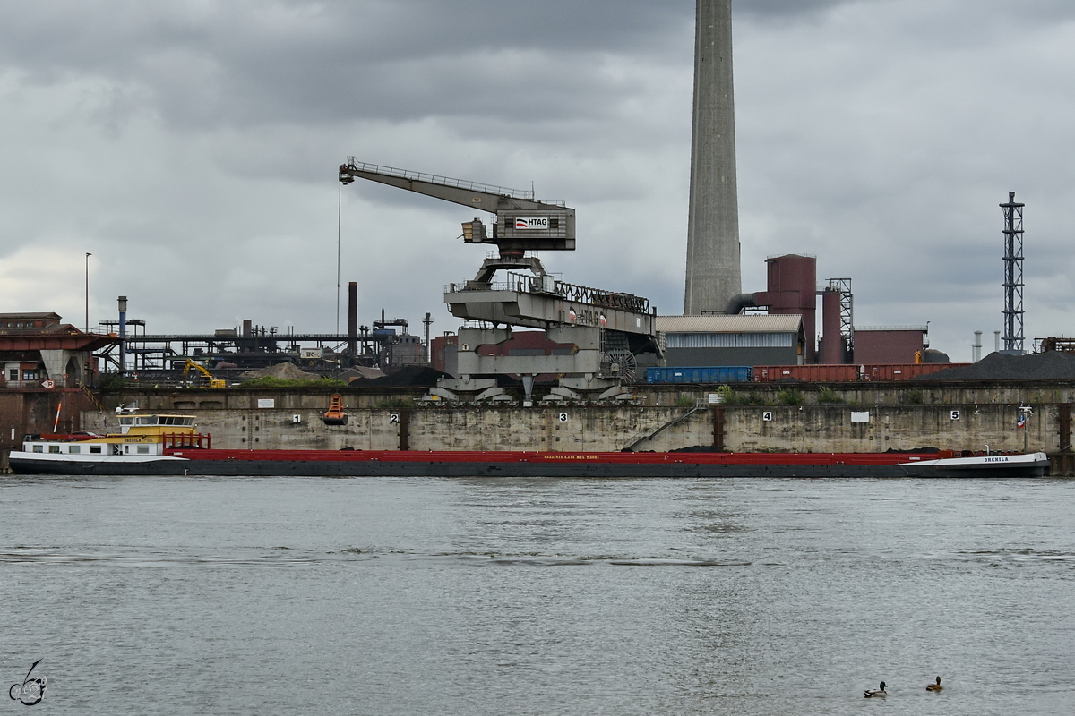 Das Gütermotorschiff ORCHILA (ENI: 02332415) hat Anfang Mai 2021 am Duisburger Rheinkai Nord angelegt und wird gerade entladen.