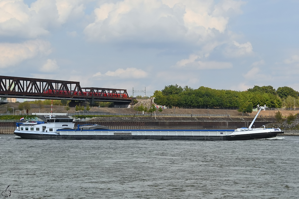 Das Gütermotorschiff PRINCESS (ENI: 02325046) befährt den Rhein, so gesehen Ende August 2022 in Duisburg. 