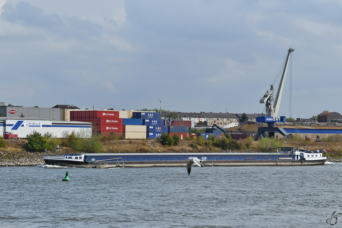 Das Gütermotorschiff SCHAUENBURG (ENI: 02318642) befährt den Rhein, so gesehen Ende August 2022 in Duisburg.