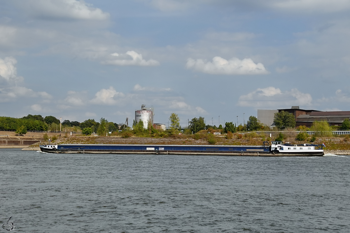 Das Gütermotorschiff SCHAUENBURG (ENI: 02318642) befährt den Rhein, so gesehen Ende August 2022 in Duisburg.