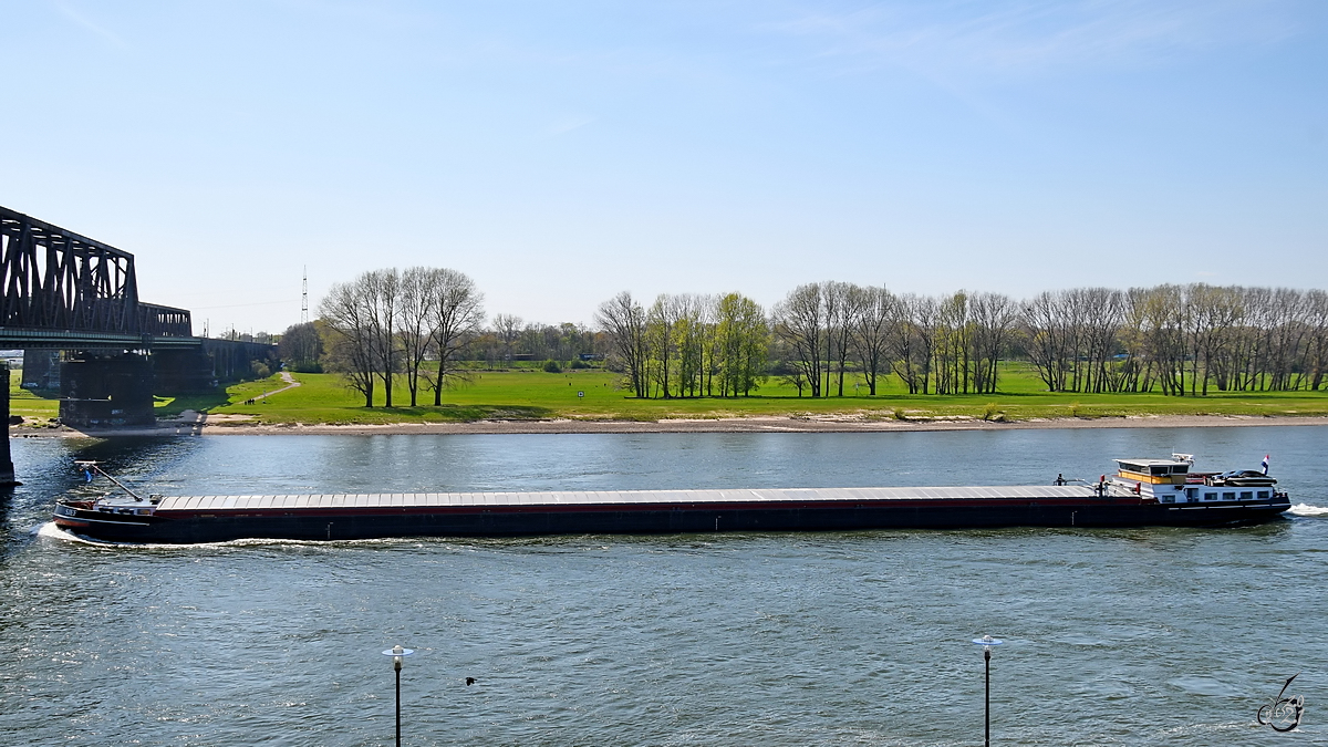 Das Gütermotorschiff SJEF (ENI: 02319243) Mitte April 2021 auf dem Rhein bei Duisburg.