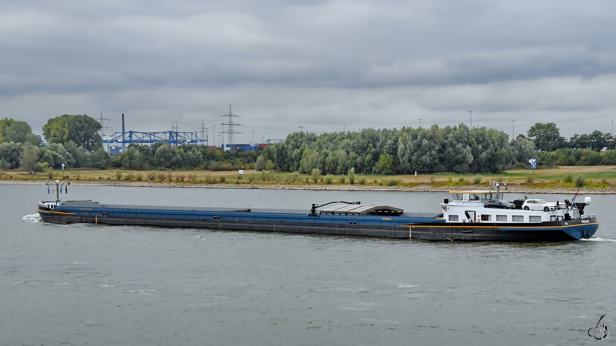 Das Gütermotorschiff THALIA (ENI: 02328065) ist auf dem Rhein unterwegs, so zu sehen Ende August 2022 in Duisburg.