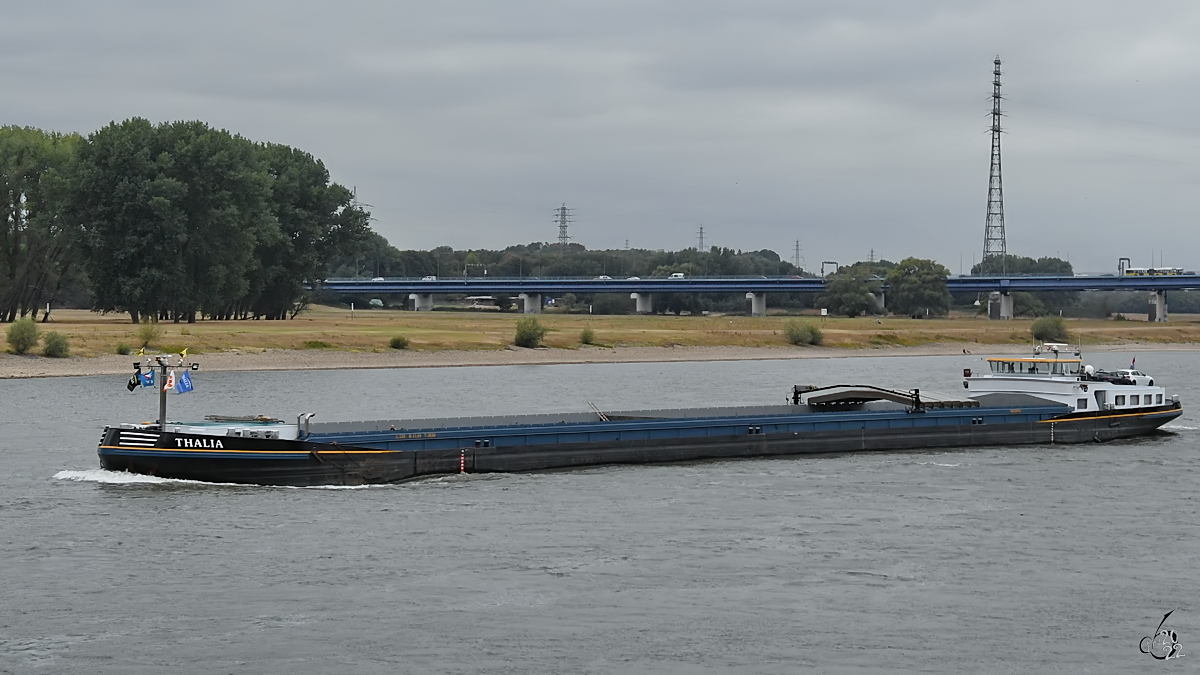 Das Gütermotorschiff THALIA (ENI: 02328065) ist auf dem Rhein unterwegs, so zu sehen Ende August 2022 in Duisburg.