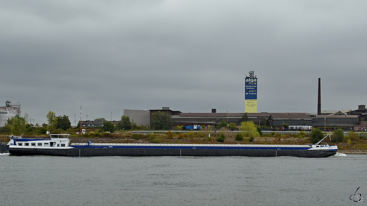 Das Gütermotorschiff THREANT (ENI: 02330640) befährt den Rhein. (Duisburg, August 2022)