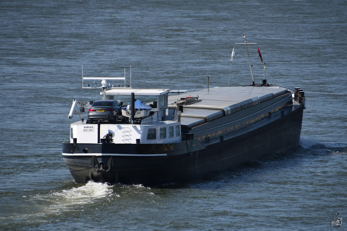 Das Gütermotorschiff VARIUS (ENI: 02311307) Mitte April 2021 auf dem Rhein bei Duisburg.