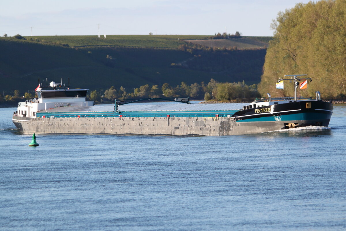 Das Gütermotorschiff VECTOR, ENI 02331015, Flagge NED, Bj 2008, rheinaufwärts bei Nierstein am 22.09.2022.