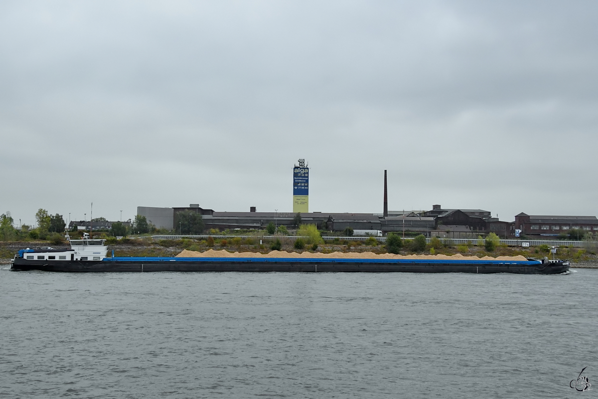 Das Gütermotorschiff VITA-NOVA (ENI: 02331793) fährt den Rhein hinauf. (Duisburg, August 2022)