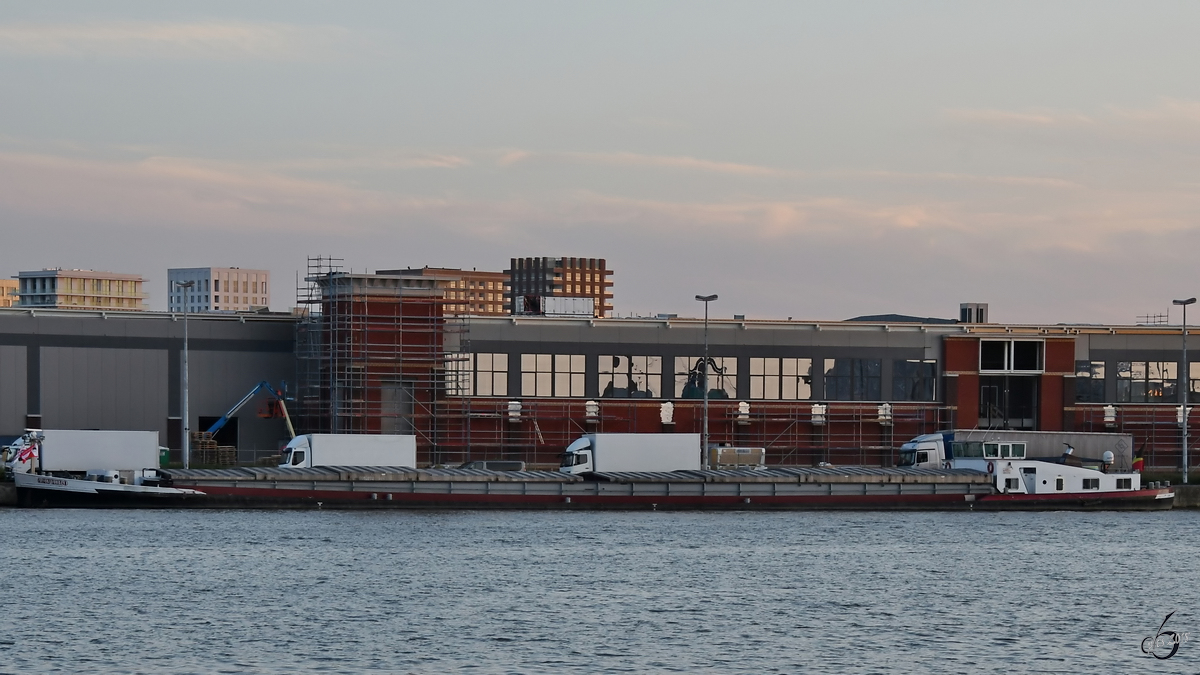Das Güterschiff  Amphiro  (ENI: 06002002) Ende Juli 2018 im Straatsburgdok Antwerpen.