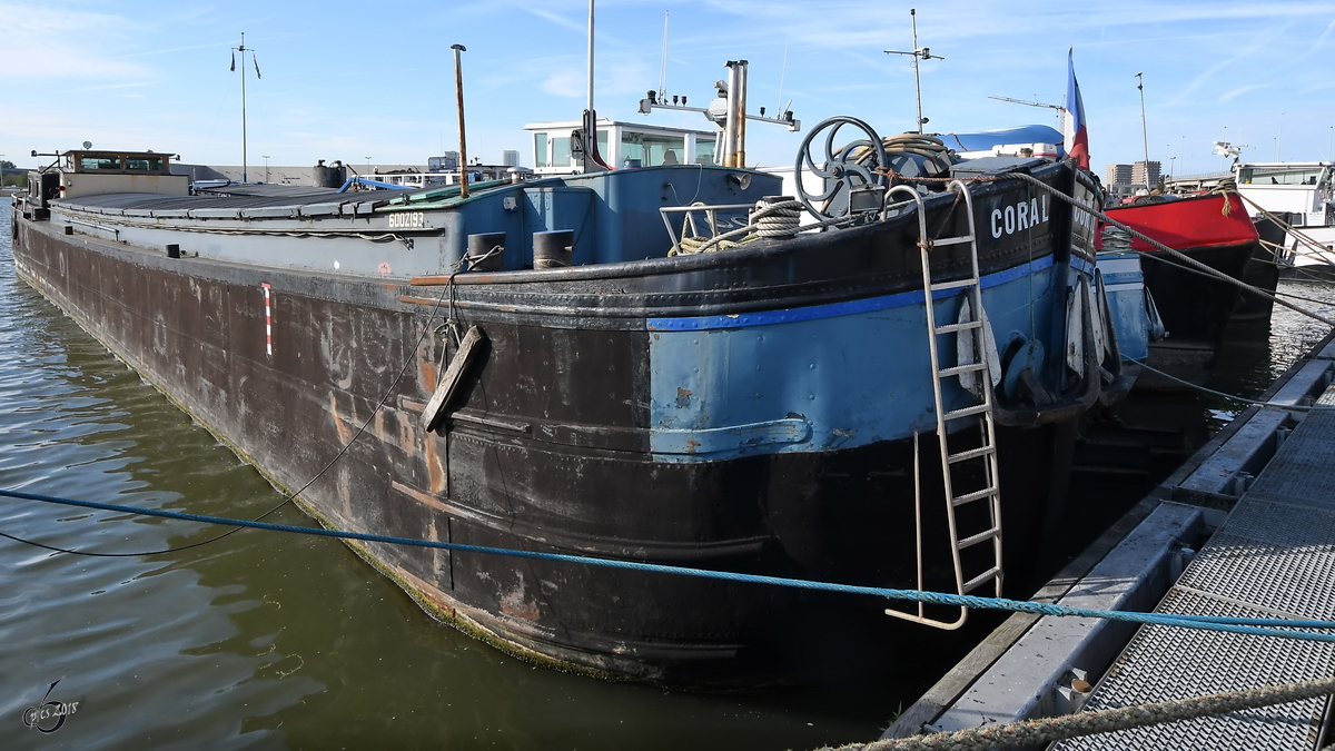 Das Güterschiff  Coral  (ENI: 06002193) Ende Juli 2018 im Straatsburgdok Antwerpen.