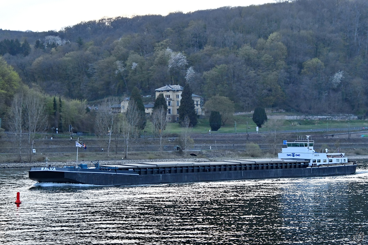 Das Güterschiff SALVA (ENI: 02313808) ist auf dem Rhein unterwegs. (Unkel, April 2021)