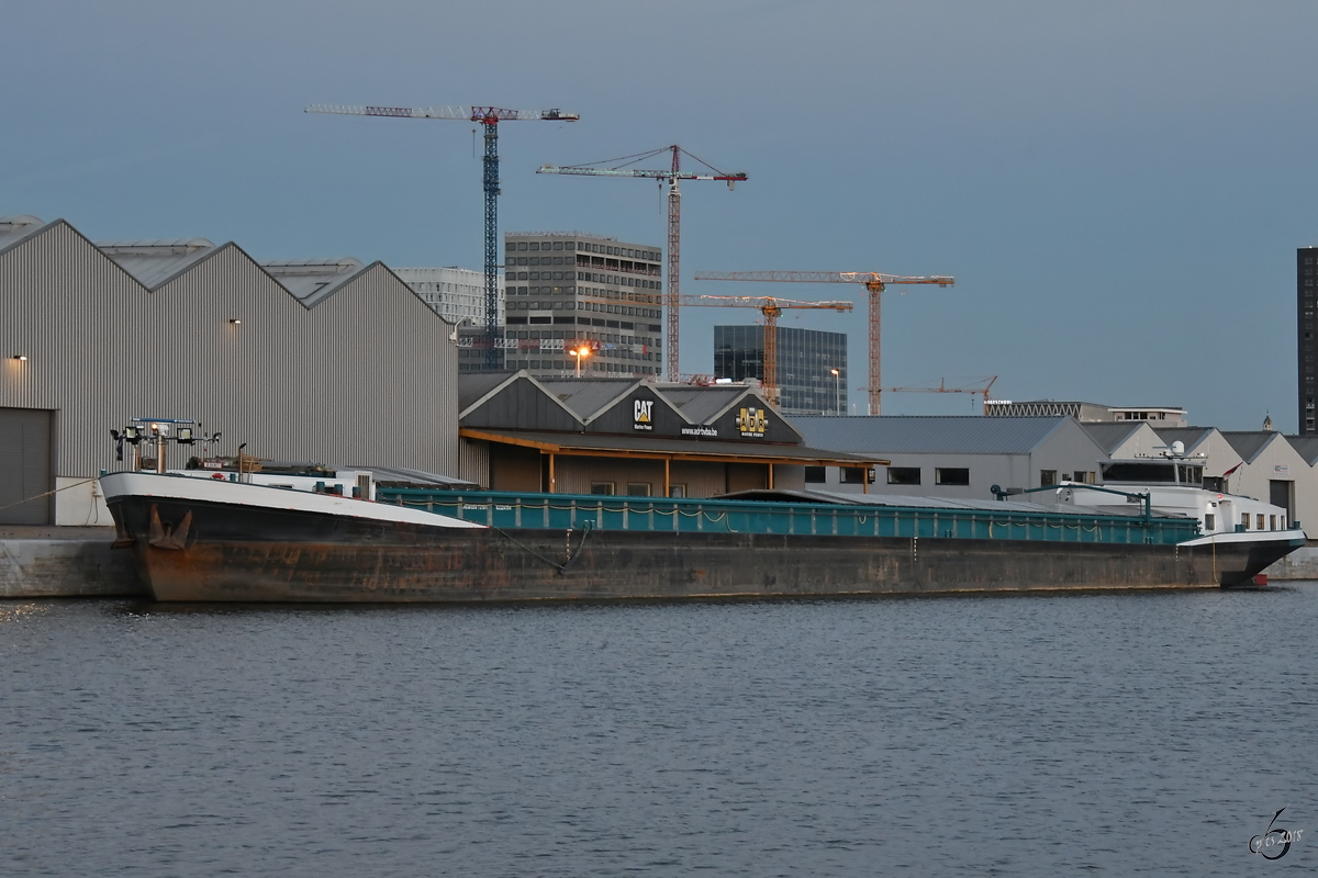 Das Güterschiff  Wijkerzand  (ENI: 02324194) Ende Juli 2018 im Straatsburgdok Antwerpen.