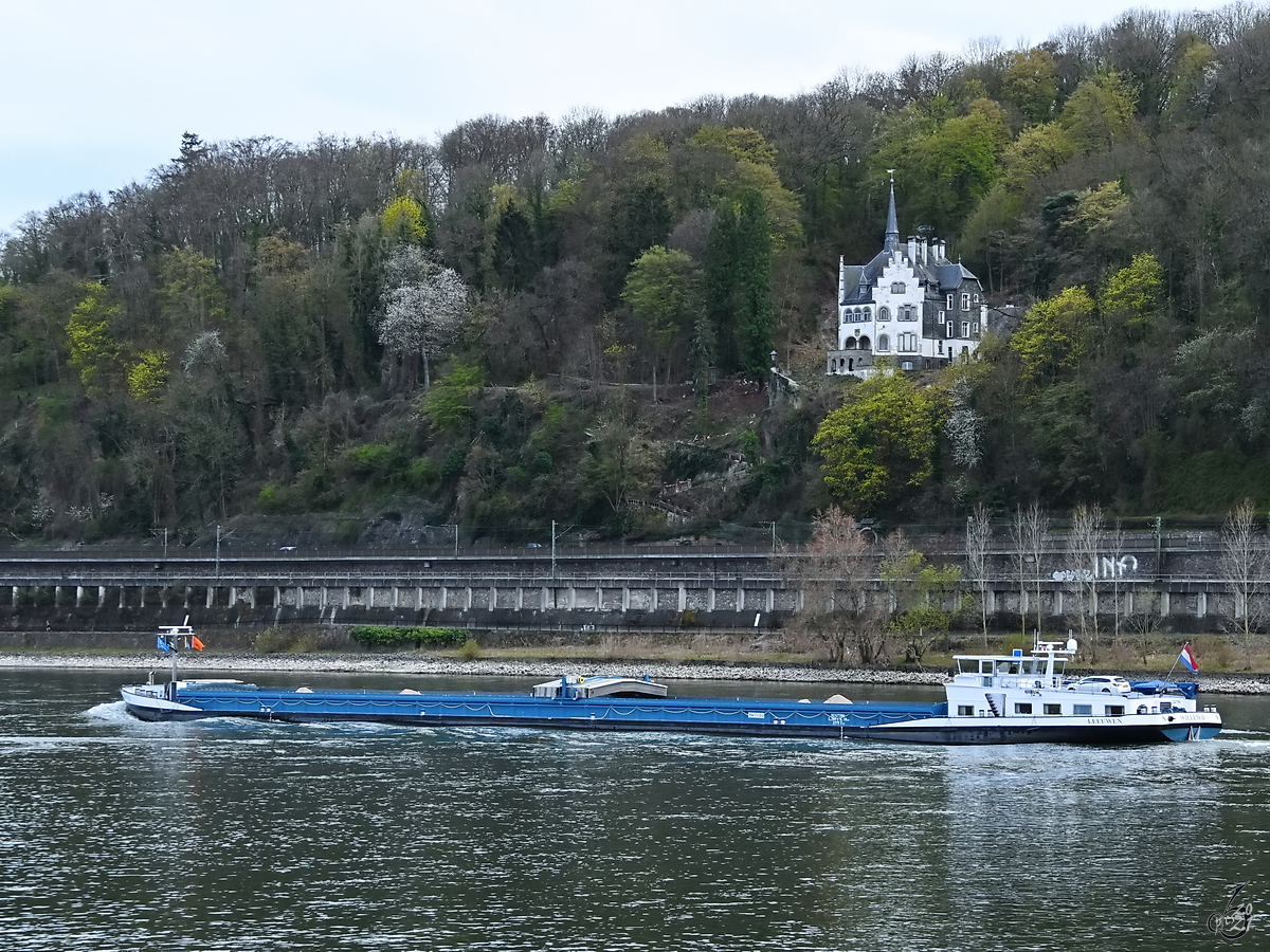 Das Güterschiff WILLEM D (ENI: 02327586) ist auf dem Rhein unterwegs. (Unkel, April 2021)