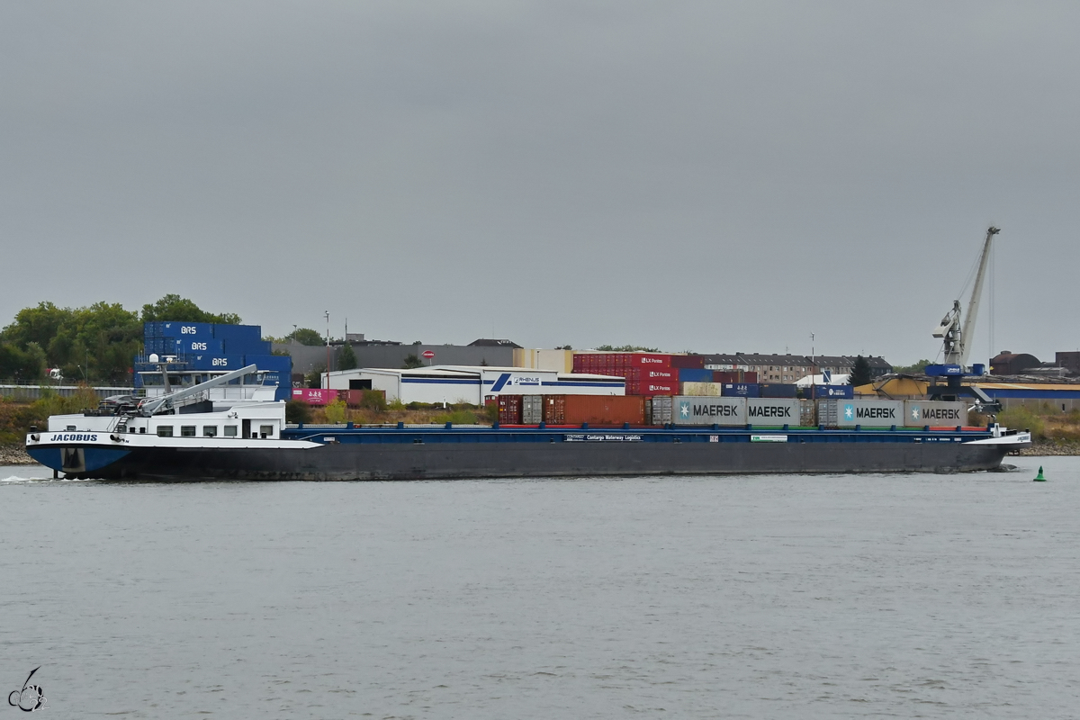 Das mit Containern beladene Gütermotorschiff JACOBUS (ENI: 02332043) auf dem Rhein, so gesehen Ende August 2022 in Duisburg.