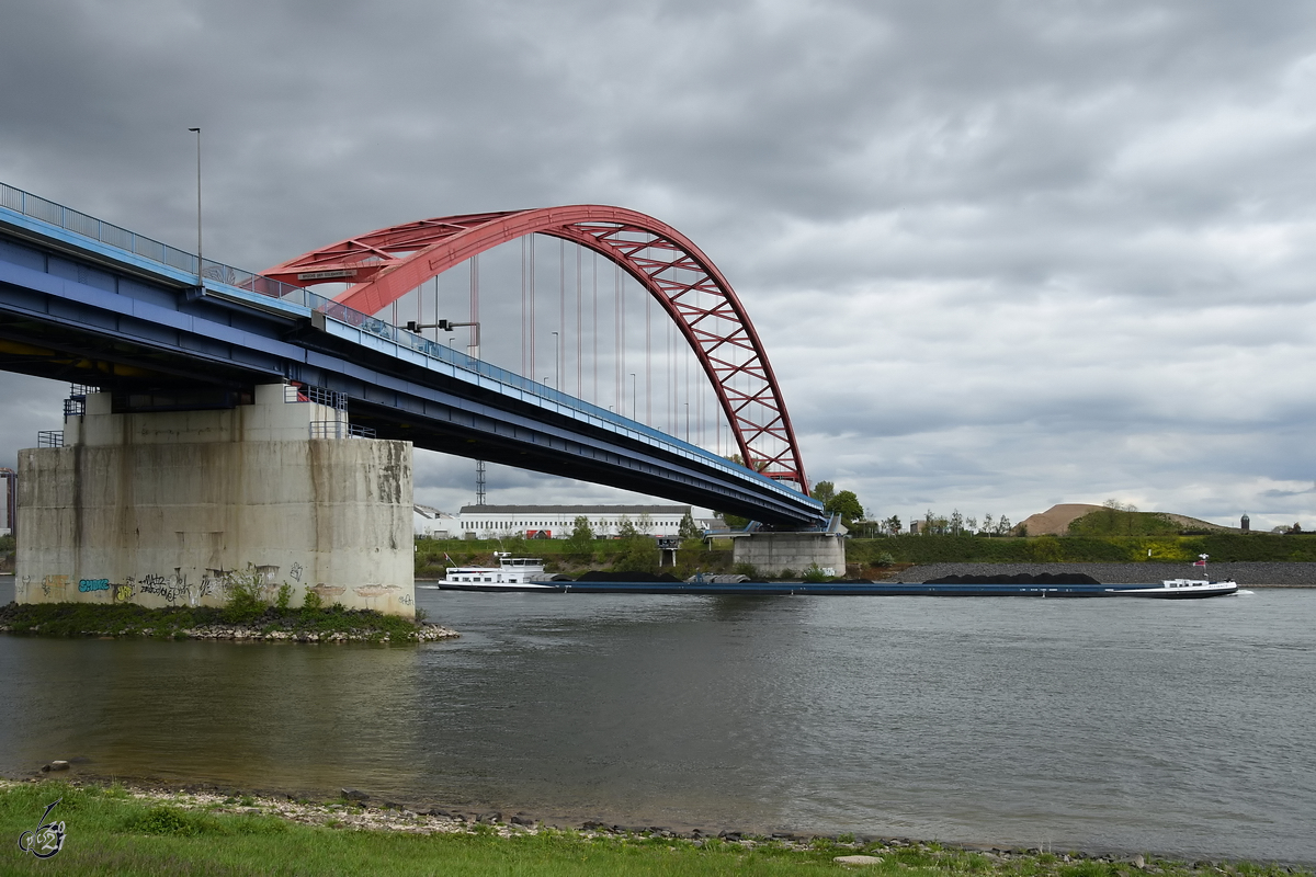 Das mit Kohle beladene Gütermotorschiff ALLIANCE (ENI: 02329651) ist hier Anfang Mai 2021 unter der Brücke der Solidarität in Duisburg.