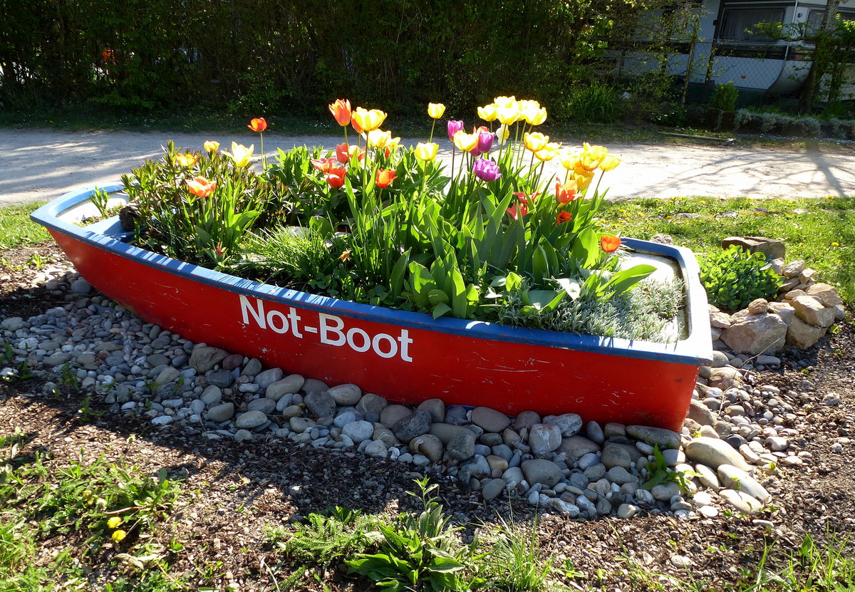 das  Not-Boot  hat Frhlingsblumen an Bord, liegt im Segelhafen Grezhausen am Altrhein, sdlich von Breisach, April 2017