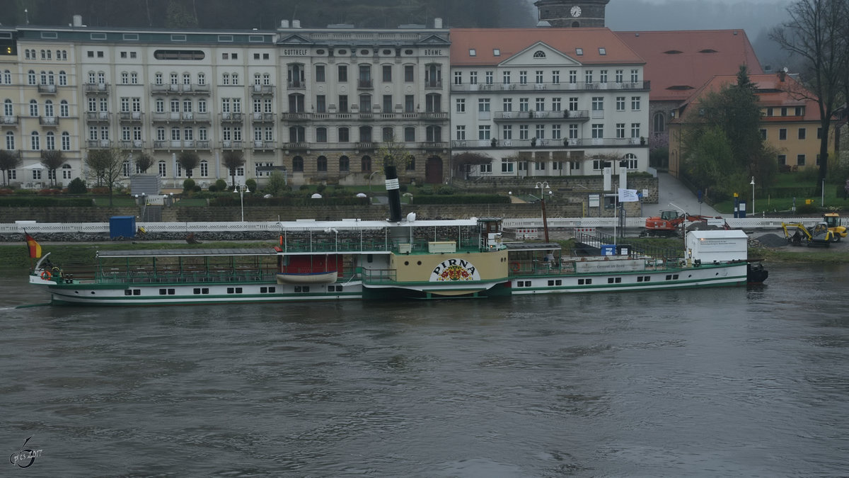 Das Raddampfschiff  Pirna  wurde im Jahre 1898 in der Schiffswerft Blasewitz gebaut. (April 2017, Bad Schandau)