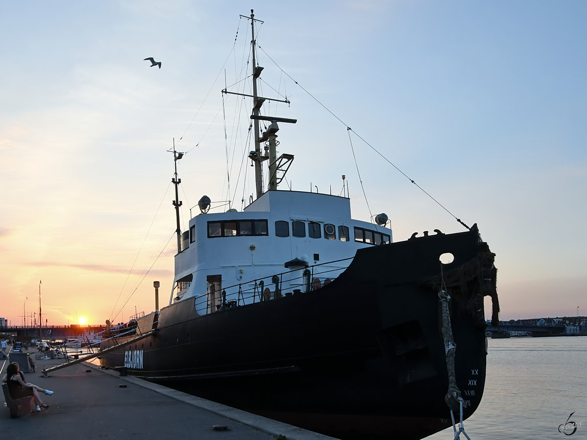 Das Restaurantschiff  Elbjorn  in der Abendsonne. (Aalborg, Juni 2018)