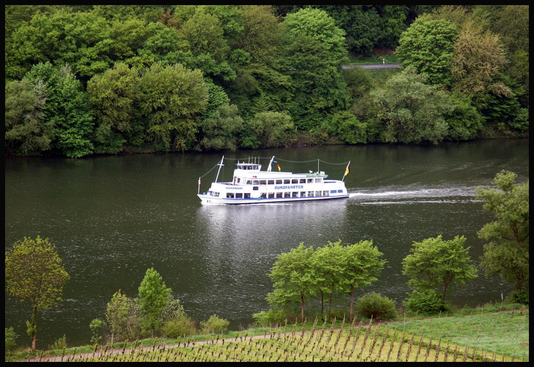 Das Rundfahrtschiff Marienburg ist hier bei Bullay am 29.04.2018 auf der Mosel unterwegs.