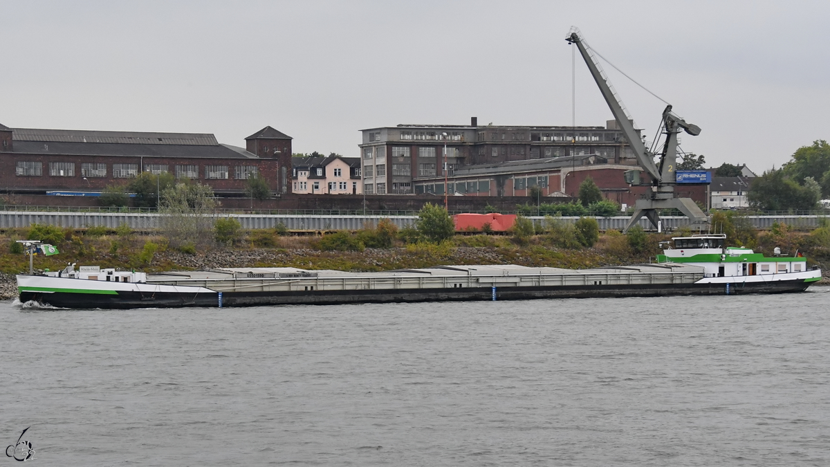 Das Schiff RHEIN-MAIN (ENI: 05501580) auf dem Rhein unterwegs. (Duisburg, August 2022)