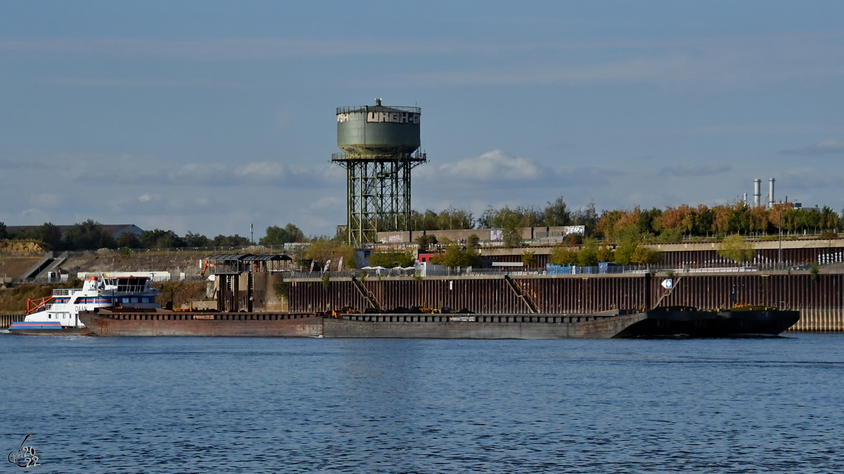 Das Schubboot DAAN (ENI: 04028330) schiebt vier Leichter, so gesehen im August 2022 auf dem Rhein bei ​Duisburg.