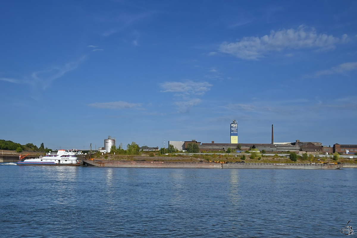 Das Schubboot DAAN (ENI: 04028330) schiebt vier Leichter, so gesehen im August 2022 auf dem Rhein bei ​Duisburg.