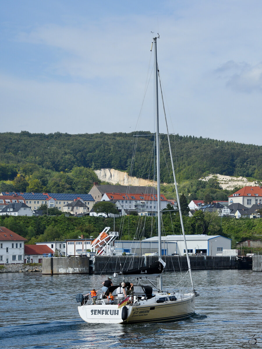 Das Seegelboot SENFKUH kommt gerade im Hafen von Sassnitz an. (August 2023)