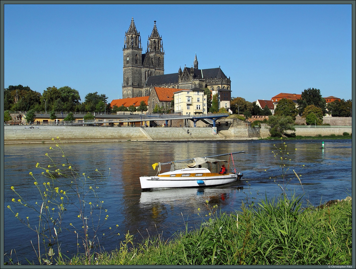 Das Segelboot Beluga passiert auf der Fahrt die Elbe hinauf den Magdeburger Dom, das Wahrzeichen der Landeshauptstadt Sachsen-Anhalts. (03.10.2013)