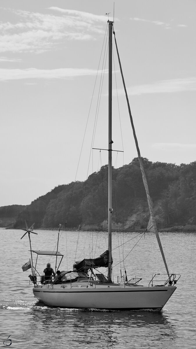 Das Segelboot PIĘKNA, auf deutsch Schön(heit) kommt gerade in Sassnitz an. (August 2023)