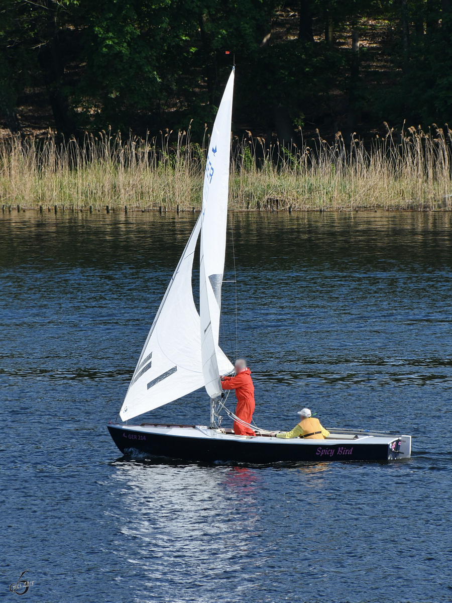 Das Segelboot  Spicy Bird  Ende April 2018 auf der Havel am Stadtrand von Berlin.